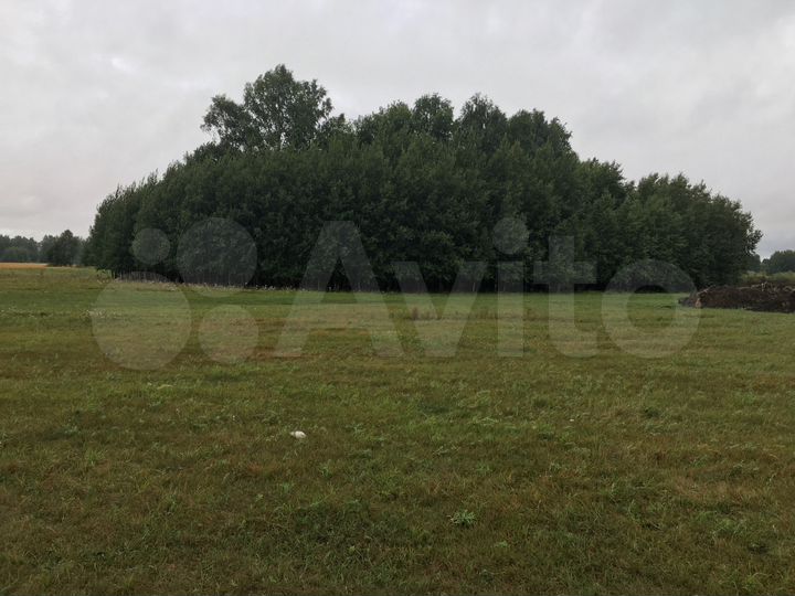 Участок 4,5 га (СНТ, ДНП)