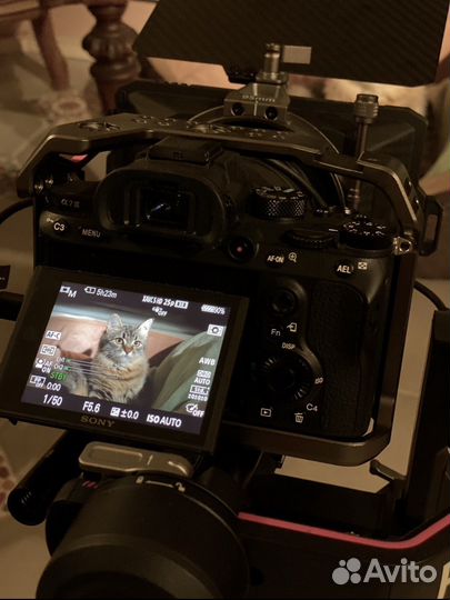 Видеооператор / съемка видео / монтаж