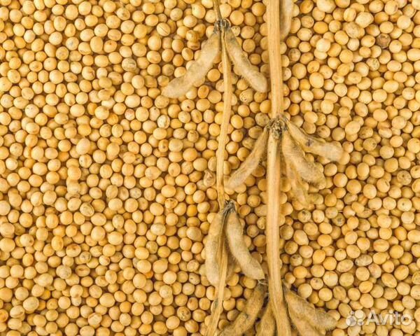 Семена сои Черемшанка