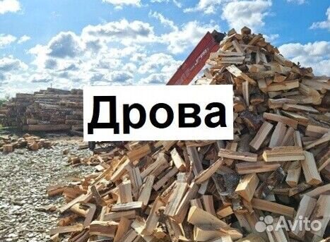 Дрова берёза