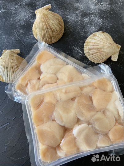 Морской гребешок (крупный)