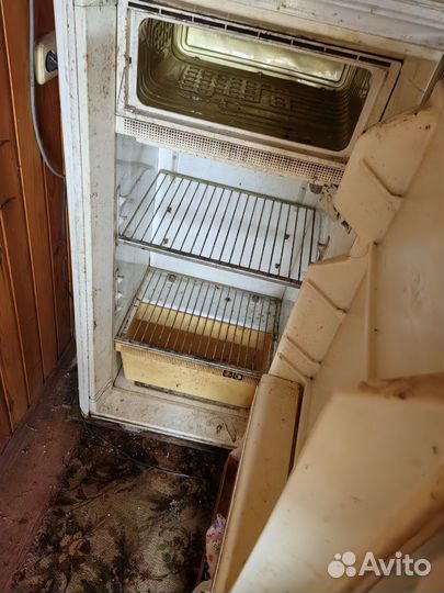 Холодильник