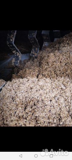 Пивная дробина