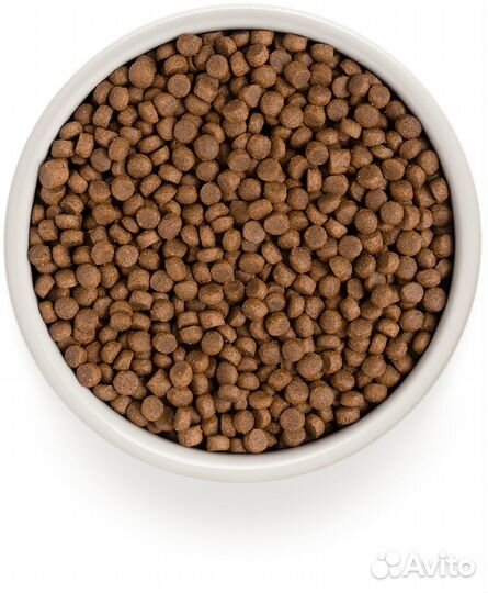 Сухой корм для кошек