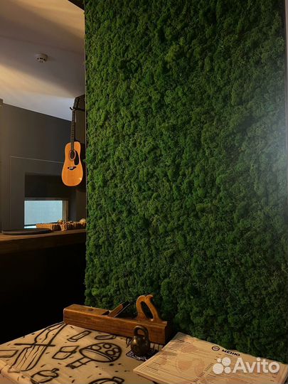 Озеленение помещений