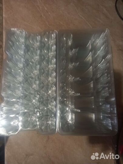 Лотки для перепелиных яиц