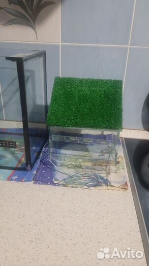 Мостик для черепахи