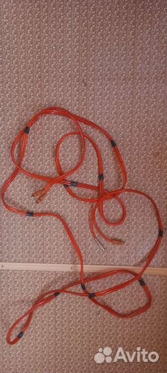 Тюльпаны провода