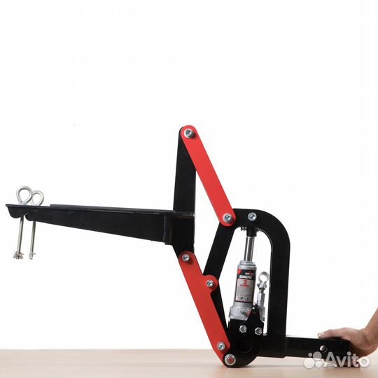 Мотохвост в Саратове