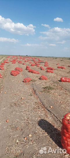 Продукты питания оптом