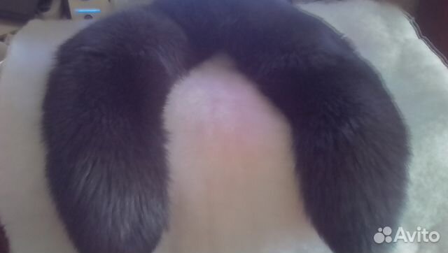 Песцовый воротник, каракуль