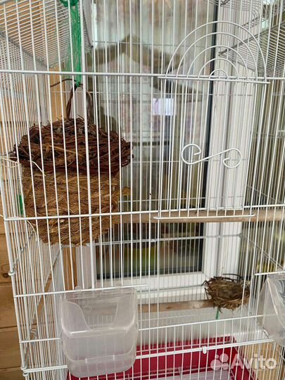 Большая клетка для птиц