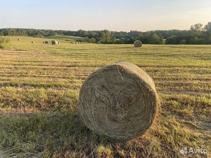 Сено луговое в рулонах