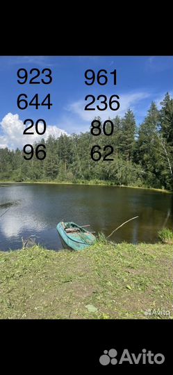 Охота и рыбалка