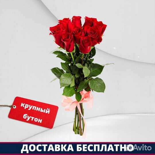 Розы Эквадор - 9 шт. 50 см