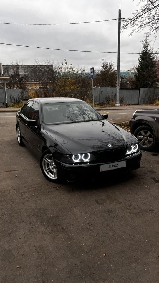BMW 5 серия: фото владельца