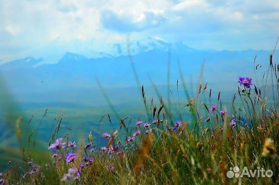 Тур северный кавказ: точки притяжения