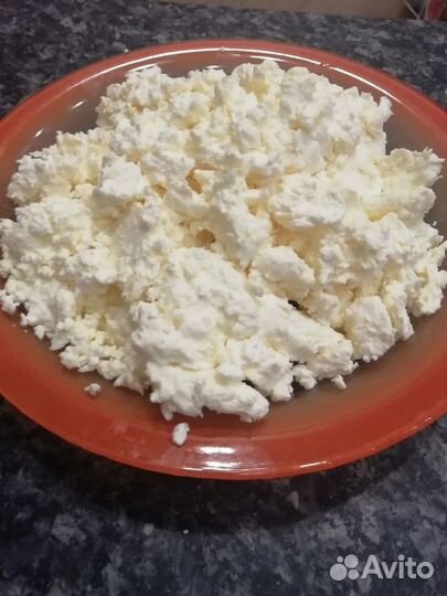 Молоко коровье домашнее