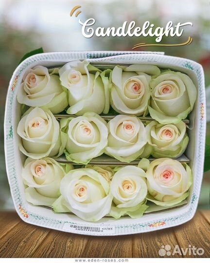 Цветы оптом из эквадора, кении, голландии