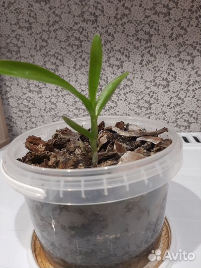 Продам 