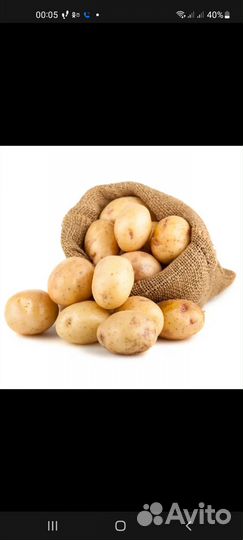 Продам картофель домашний