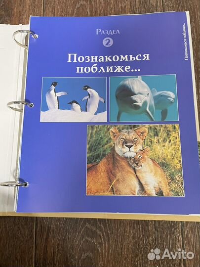 Книги журналы