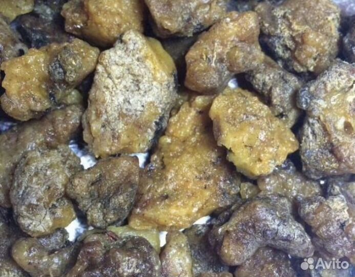 Живица кедровая/В сухом и жидком виде