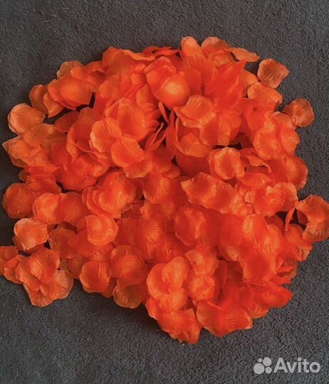 Лепестки роз