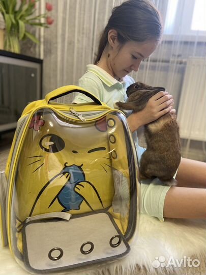 Рюкзак переноска сумка переноска