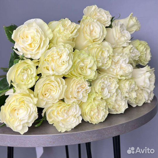 Цветы розы и букеты с доставкой бесплатной