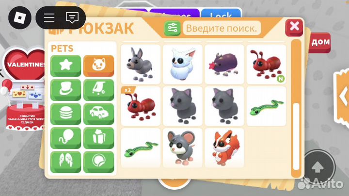 Продаю петов и яица