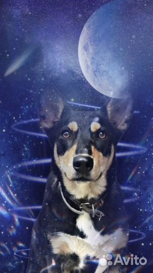 Делаю Обработки бесплатно