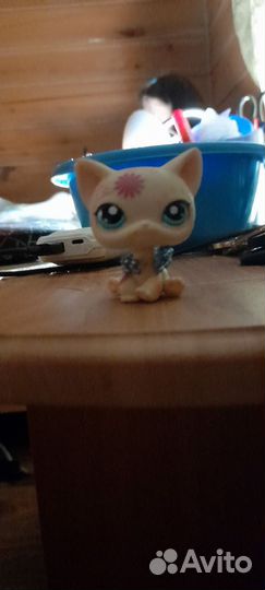 Littlest Pet Shop