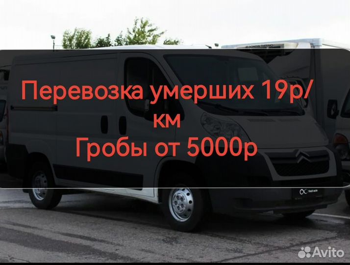 Перевозка умерших в любой город.Домодедово.Гроб