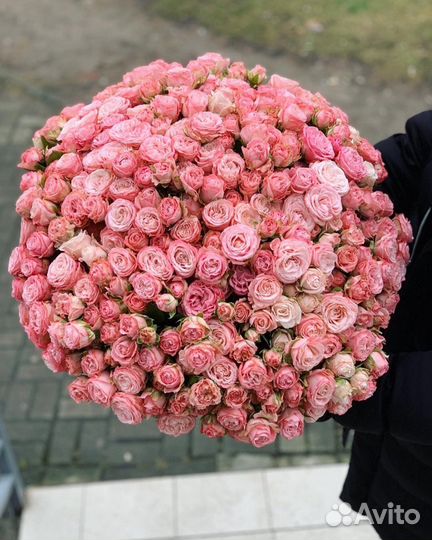 Цветы Розы кустовые