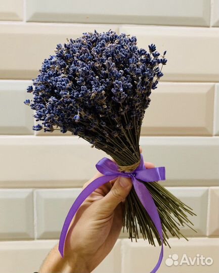 Букет Лаванды