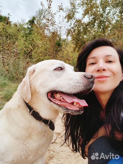 Зооняня в выходные и праздничные дни