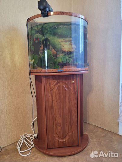 Аквариумы Jebo 100л, 60л сфера с тумбой 65 л,45 л