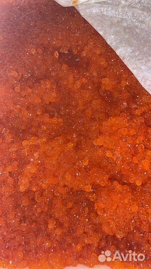 Икра Горбуши 2023 Камчатка