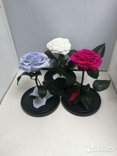 Роза в колбе оптом и в розницу