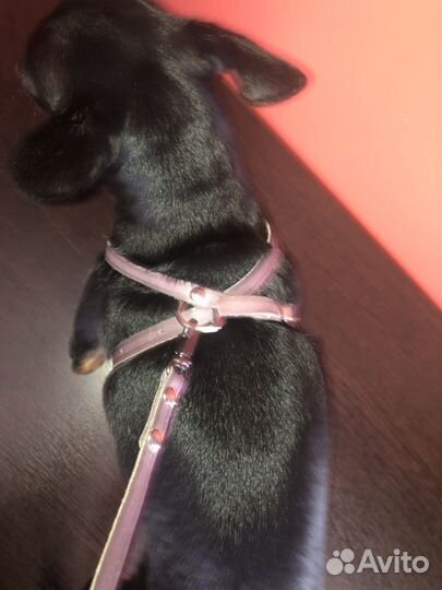 Поводок кожаный