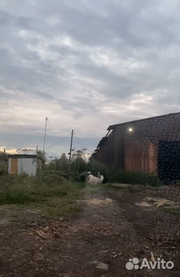 Продам пилорамную базу