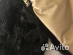 Муфта варежки для коляски, санок, экокожа,мех