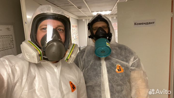 Уничтожение тараканов, клопов, а также запахов