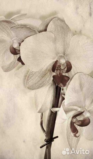 Панно объемное на холсте 88х150 ART 063 Дизайн Mom