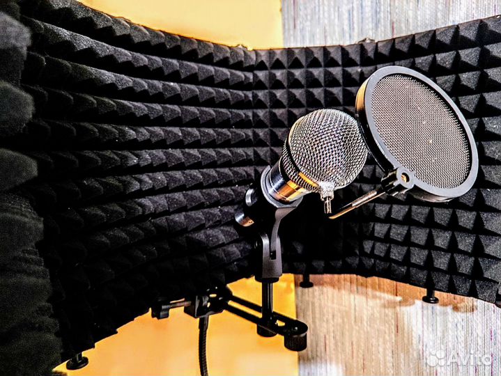 Кастомный конденсаторный микрофон