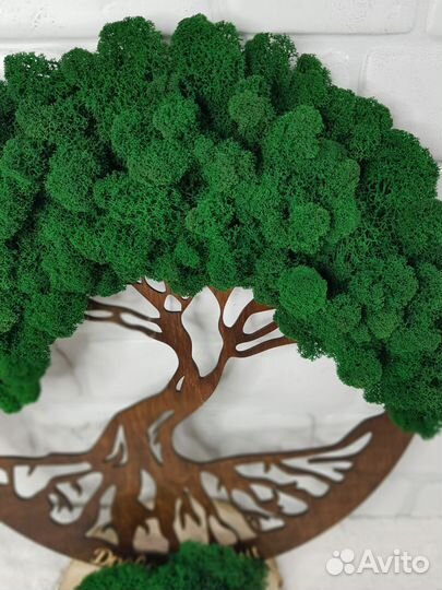 Панно со мхом