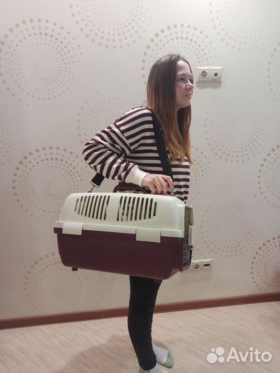 Переноска для кошек и маленьких собак