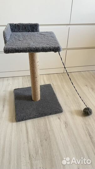 Когтеточка