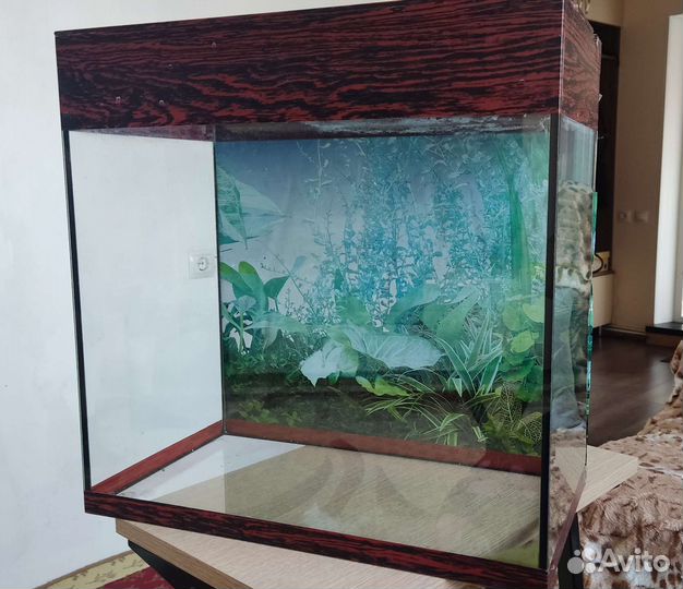 Аквариум